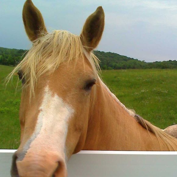 Meet your Posher, Jane - Picture 1 of 1